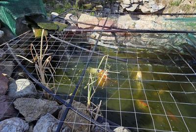 Casă cu etaj deosebită în Chișineu-Criș – un cămin creat cu suflet - 26
