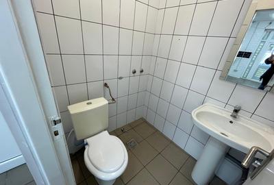 Spatiu comercial Rahova-Vad comercial premium - 13