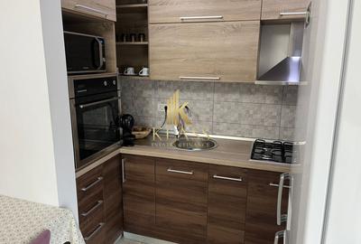 Inchiriere apartament 2 camere zona Banu Manta/Victoriei - 5
