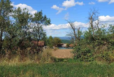 Teren intravilan pentru casa sau vacanta, Lunca, Baia de Cris - 5