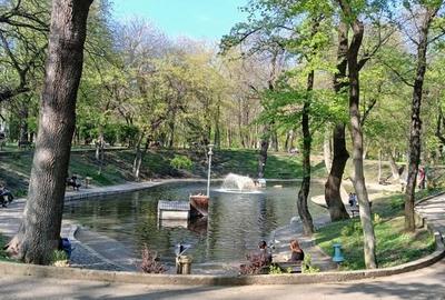 Piata Victoriei 3 camere 2 bai - aer conditionat de inchiriat - 15