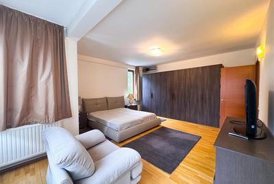 Apartament cu 4 camere de inchiriat Herastrau - 17