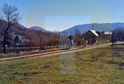 Teren intravilan de 4.000 mp în Bistrița – Alexandru cel Bun - 26