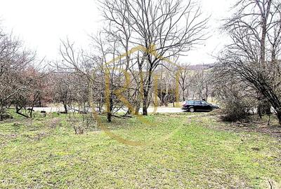 Terenuri extravilane de vânzare – Vizma & Crivobara, comuna Secaș, jud. Timiș - 7