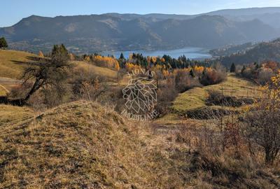 Teren 2.950 mp+ Proiect Resort ALPINA 6 COLIBITA- vedere lac Colibita - 12