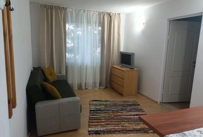 Apartament cu 2 camere nedecomandat, mobilat în Brotăcei