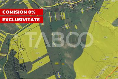 Teren extravilan 2900 mp pretabil pentru investitie zona Lovnic - 1