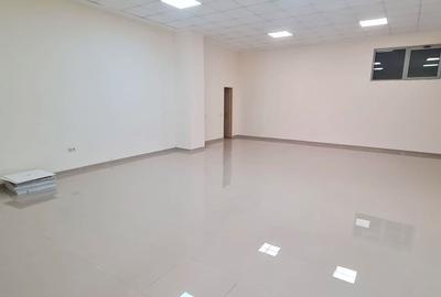 SPATIU COMERCIAL PARTER 2 CAMERE 130 MPU | NEPPENDORF TURNISOR - 8