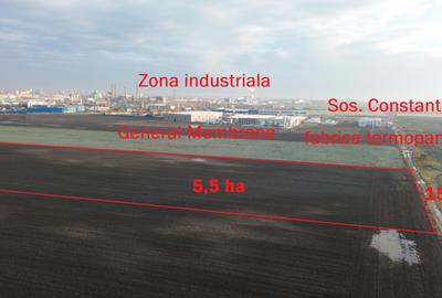 Teren intravilan 5,5 ha industrial deschidere 150 ml soseaua Constantei - 2