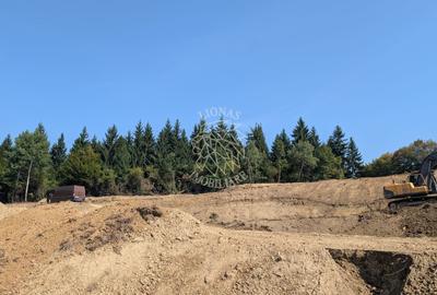 Teren 5930 mp- 1,4 km centru- investitie, cabana in natura - 1