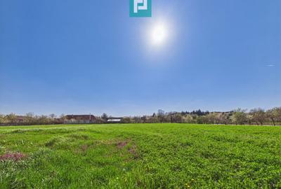 Teren intravilan 3024 mp, în comuna Almaș, Arad - 1