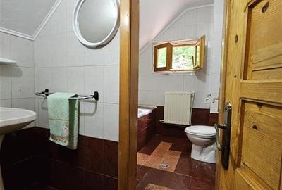 CASA DE VACANTA + TEREN PROPRIETATE IN STATIUNEA MONTANA SLANIC MOLDOVA - 38