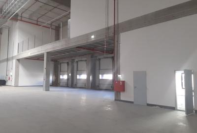 Depozite construite conform cerintelor / Warehouses build to suit - 3