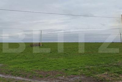 Teren Construcții intravilan de 16000 mp, în Exterior Sud