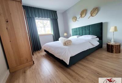 Casa in Muntii Apuseni cu 114.144 mp teren - 8