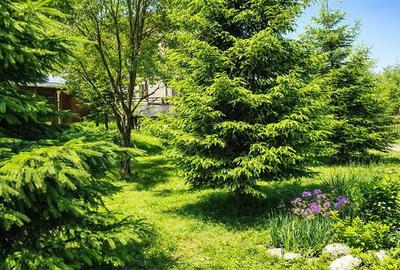 Locatie cu patru anotimpuri intr- o zi, incadrata de 2.350 teren, Bran - Fundata - 1