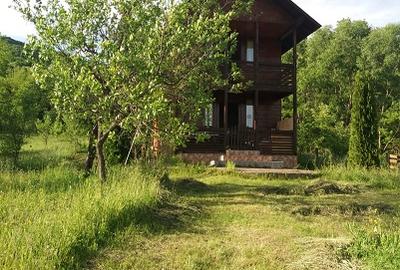 Teren extravilan de 3000 mp, în Cosmina de Sus
