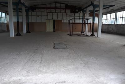 Hale in Fibis suprafata 1050mp + 1300 mp partajabila - 1