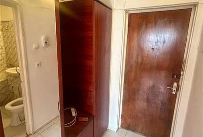 Garsoniera, Harmanului, zona CEC, Centrul Civic 300 euro. Pet Frendly . - 7