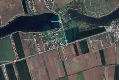 Teren intravilan la sosea | 6.439 mp | lângă Laguna Verde | Investiție - 1
