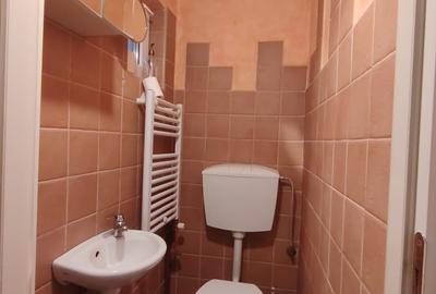 Vila desebita-POPA NAN- O oaza de liniste si verdeata in centrul orasului. - 10