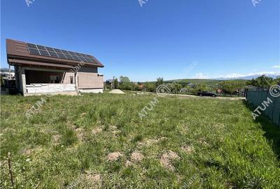 Peren intravilan de 600 mp cu PUZ in Tocile langa liziera padurii - 4