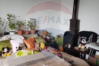 Casă cu 2 dormitoare si anexe gospodaresti de vanzare Cefa central - 4