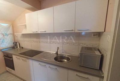 Casă cu două apartamente și teren generos în zona Iulius Mall. - 7