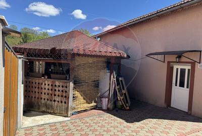 Magazin alimentar modernizat si locuinta. Investitie Salicea - 25