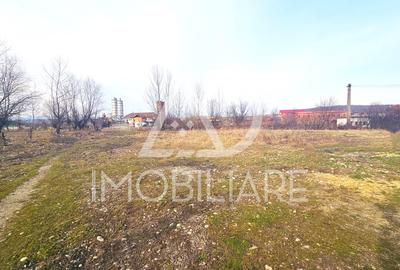 Terenuri Intravilane în Rovinari - 7