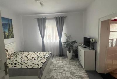 Casă individuală cu 3 camere în Josani (Măgești)