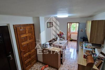 Apartament decomandat cu 2 camere mobilat si utilat,Calea Lipovei - 5