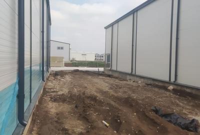 2 hale noi 2025 Afumati- Moara Domneasca - 8