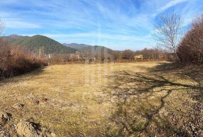 Teren intravilan 2.295 mp, deschidere 60 m – Rășinari, comision 0% - 3