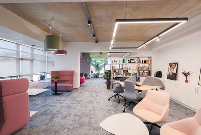 Birou, 3053 mp în Rosetti