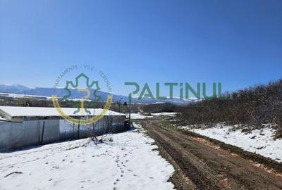 Teren 3.500 mp intravilan – Cisnădie, deschidere 23 ml, aproape de Sibiu - 3