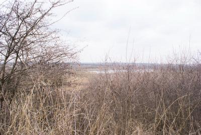 Teren intravilan de 982mp, comuna Adunatii Copaceni - 5