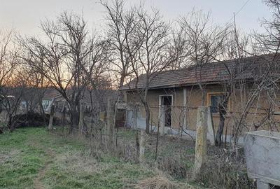 Vand casa si teren 600 mp Com. Scrioastea  langa Rosiori de Vede - 3