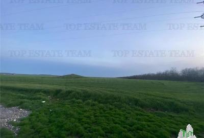 Teren intravilan 15000 mp Costinesti, Constanta - 1