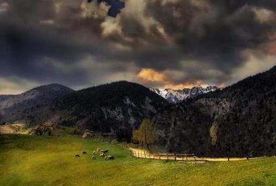 Teren case de vvacanta,pensiuni,training place - 7