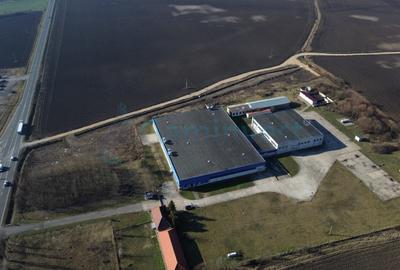 Hala Industriala de vanzare 6500 mp in Madaras la 30 km de Oradea, Bihor - 5
