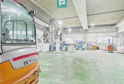 Hală industrială de 4.155 mp Calea Borșului - 17