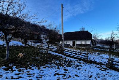 Teren intravilan Simon/Bran, 4318 mp , casuta intabulata, utilitati - 16