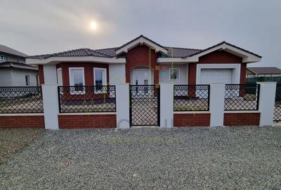 Casă individuală cu 3 camere în Moșnița Veche