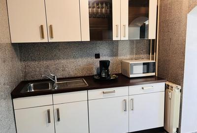 Apartament primitor 2 camere, etaj 1, George Enescu - zona Liceul Energetic - 20