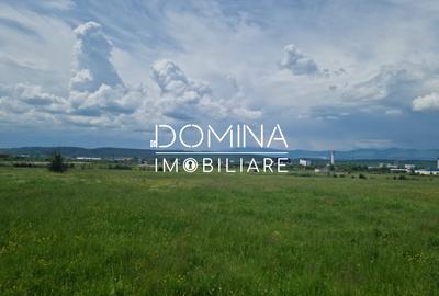 Vânzare teren extravilan, suprafață 7.000 mp, situat în Tg Jiu, str. Ciocârlau - 4
