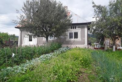 Casă individuală cu 3 camere în Căprioru