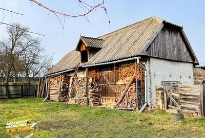 FILM! 5.000mp teren intravilan cu casuta rustica, Dalnic, Covasna - 31