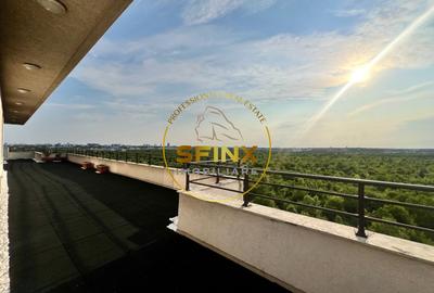 Baneasa Iancu Nicolae, 5 room penthouse, 250sqm usable surface, 3 parking - 16