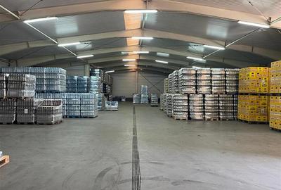 Centru logistic de inchiriat in Tulcea - 27